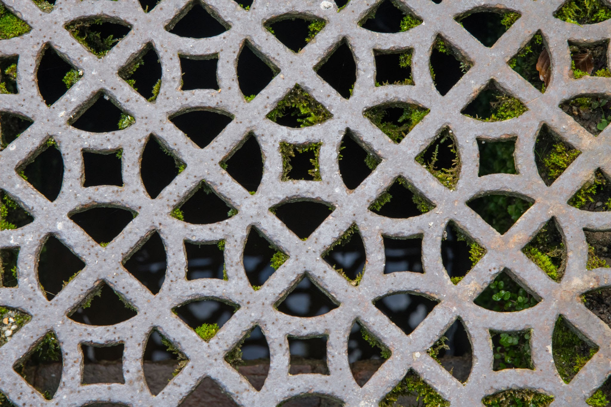 lattice